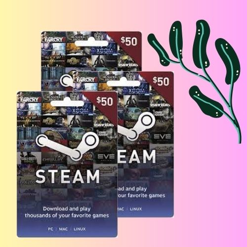 New Steam Gift Card 2024